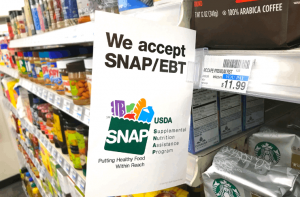 Learn How to Get Free Phone With Food Stamps Program