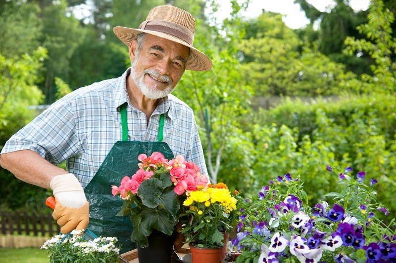 Discover Sites with Jobs for Gardeners