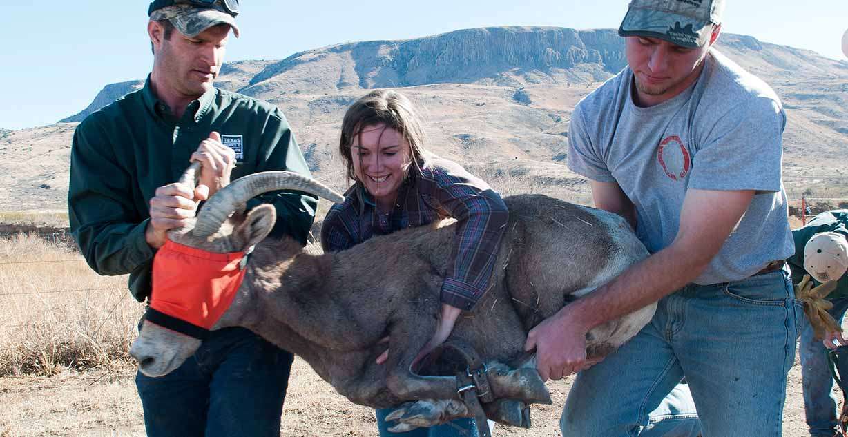 Fish And Wildlife Technician Careers - Learn More Here