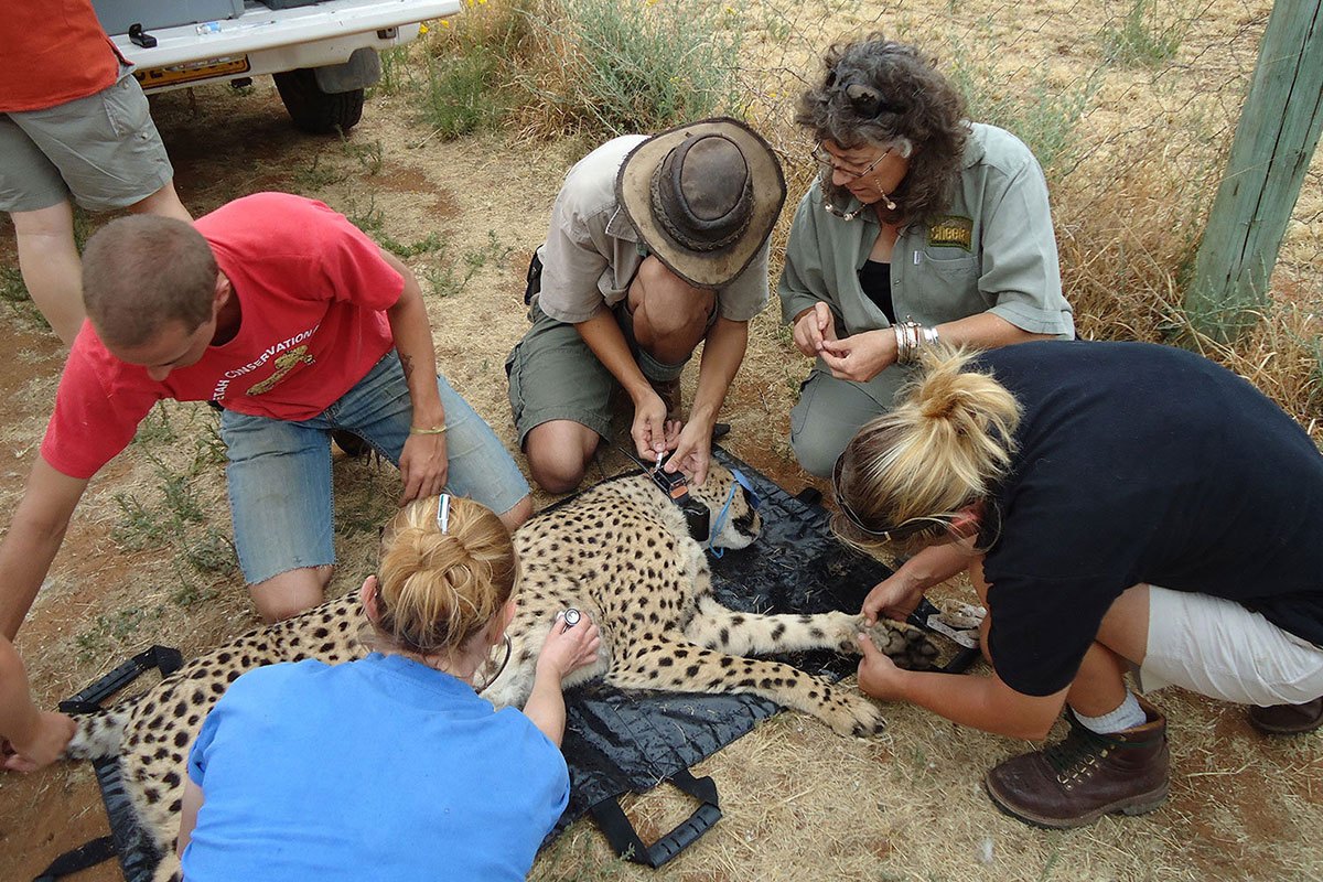 Fish And Wildlife Technician Careers - Learn More Here