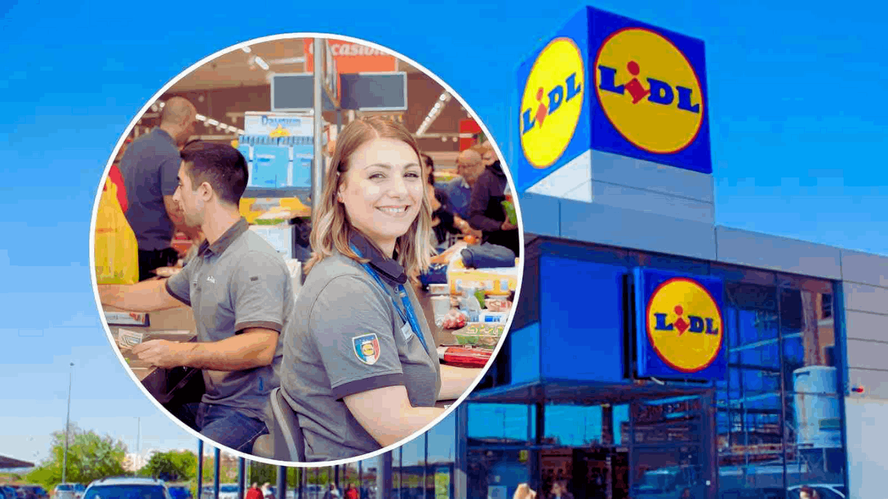 Lidl Jobs: Learn How to Apply for Openings Today