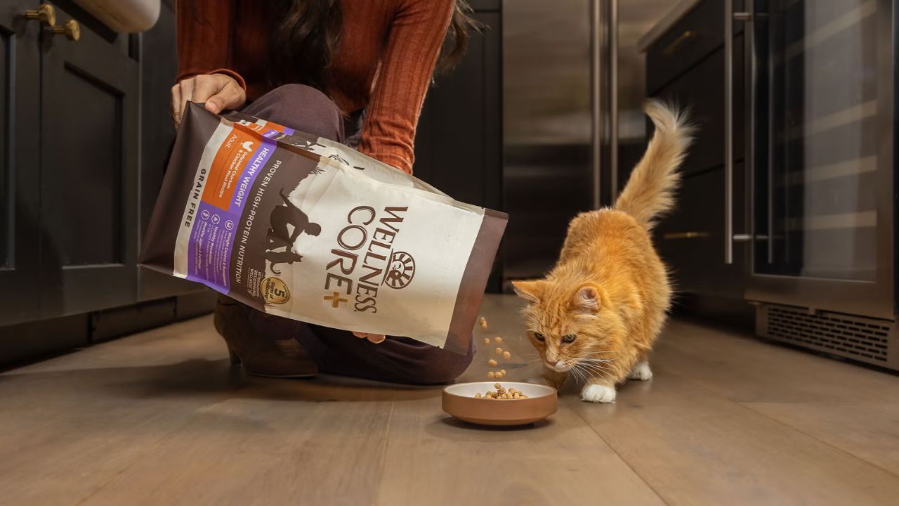 Learn How to Get Cat Food for Free: Online Guide